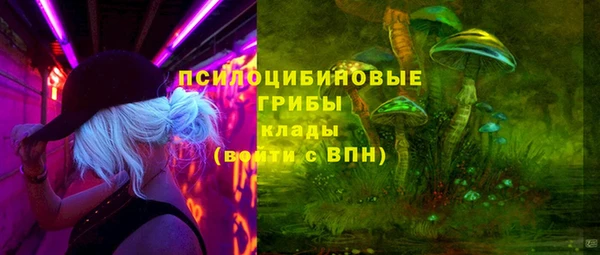 шишки Алексеевка